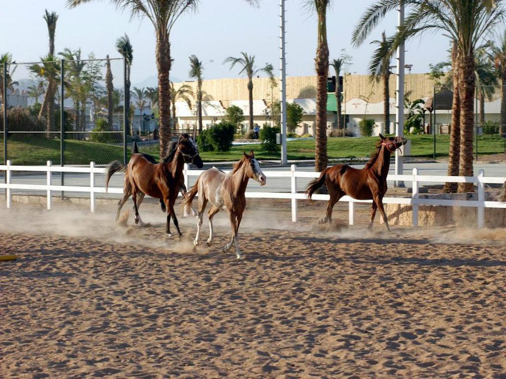 Concorde El Salam Sharm El Sheikh Sport Hotel Kültér fotó